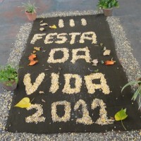 DSC05302