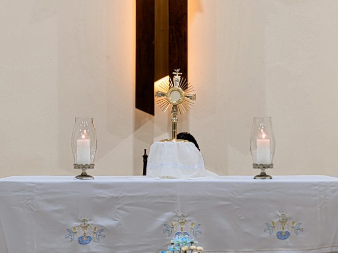 988cfeef 4f75 4e1d 95f9 ea0cacdccc1b em “Maria, morada de Deus”: Festa da padroeira une oração e fraternidade, no Parque Guadalajara
