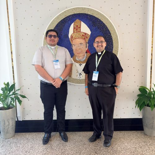 1706bff8 0b23 4c01 9c5e 1a4b7023ea72 1 em Coordenação Arquidiocesana de Pastoral participa de encontro nacional da CNBB